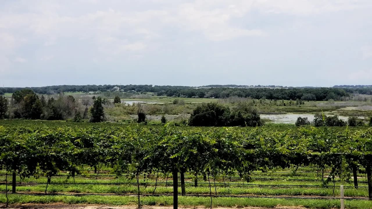 Lakeridge Winery, Florida - Things to see and do