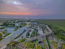 The Florida Everglades - Things to see and do