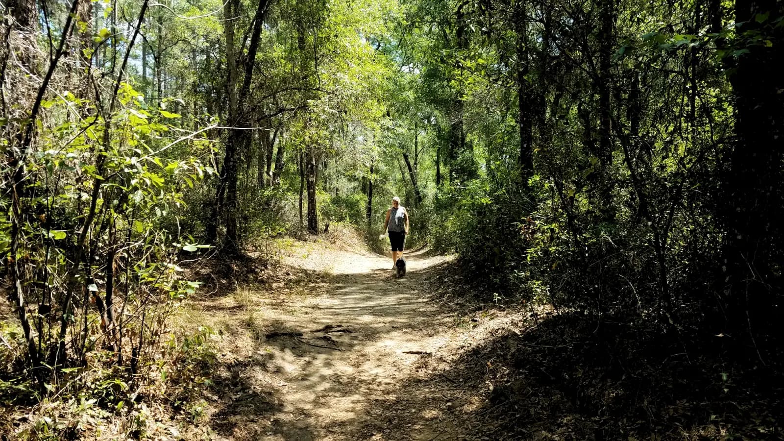 Lecanto, Florida - Things to see and do
