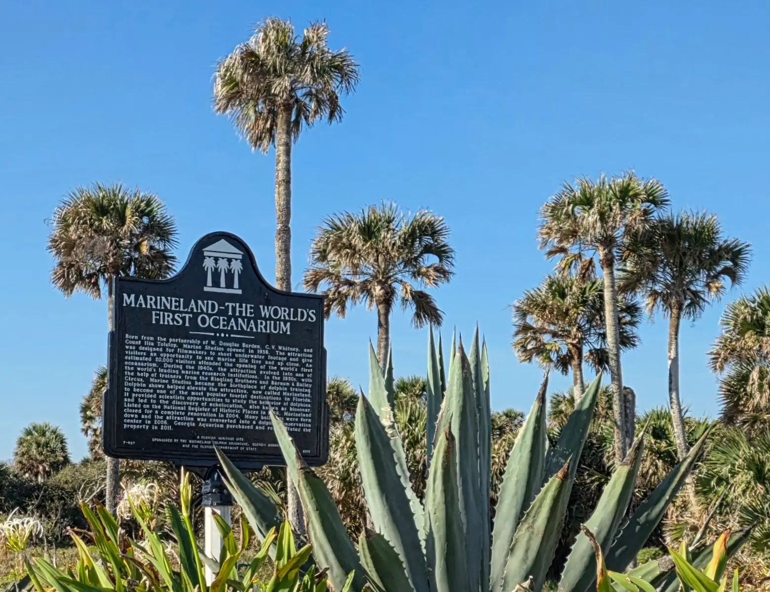 Marineland, Florida - Things to see and do