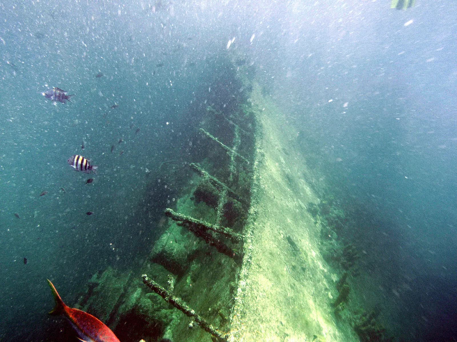 Sunken ship off the coast of Aruba