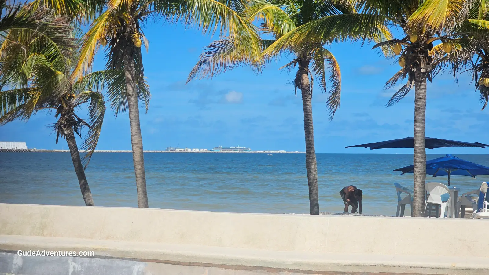 What to see and do in Progreso, Mexico  - Things to See and Do