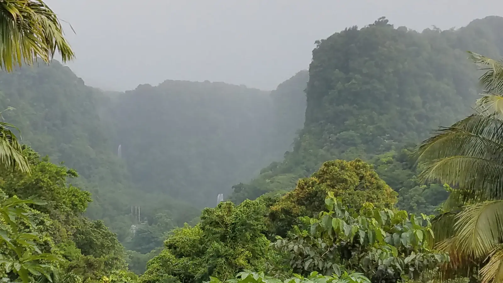 Roseau, Dominica - Things to See and Do