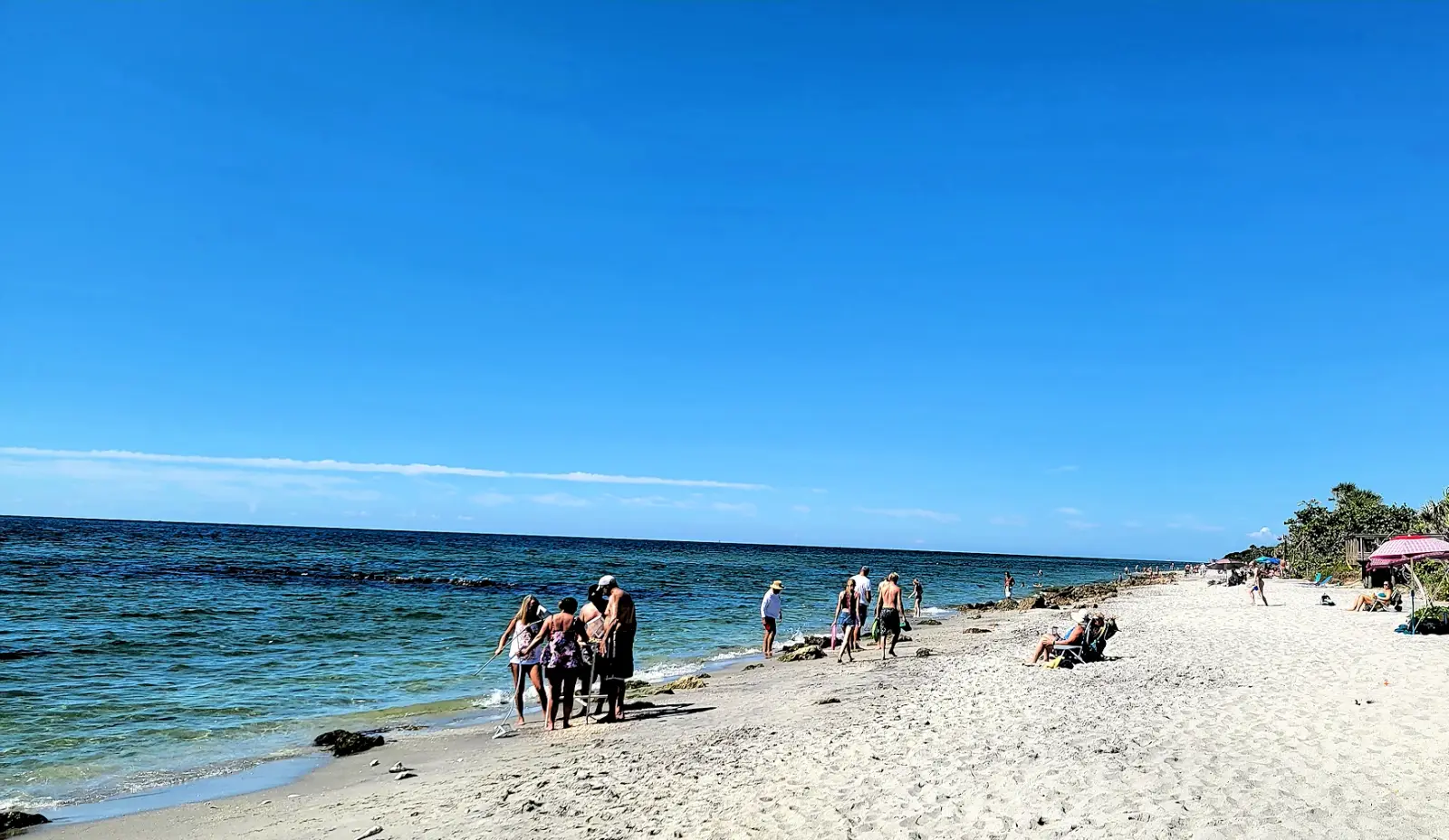 Venice, Florida - Things to see and do