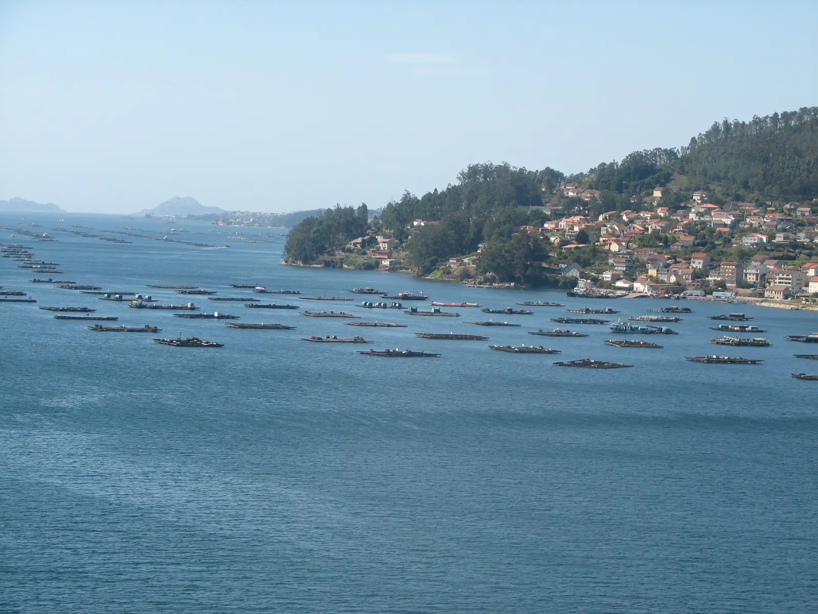 Vigo, Spain - Things to See and Do