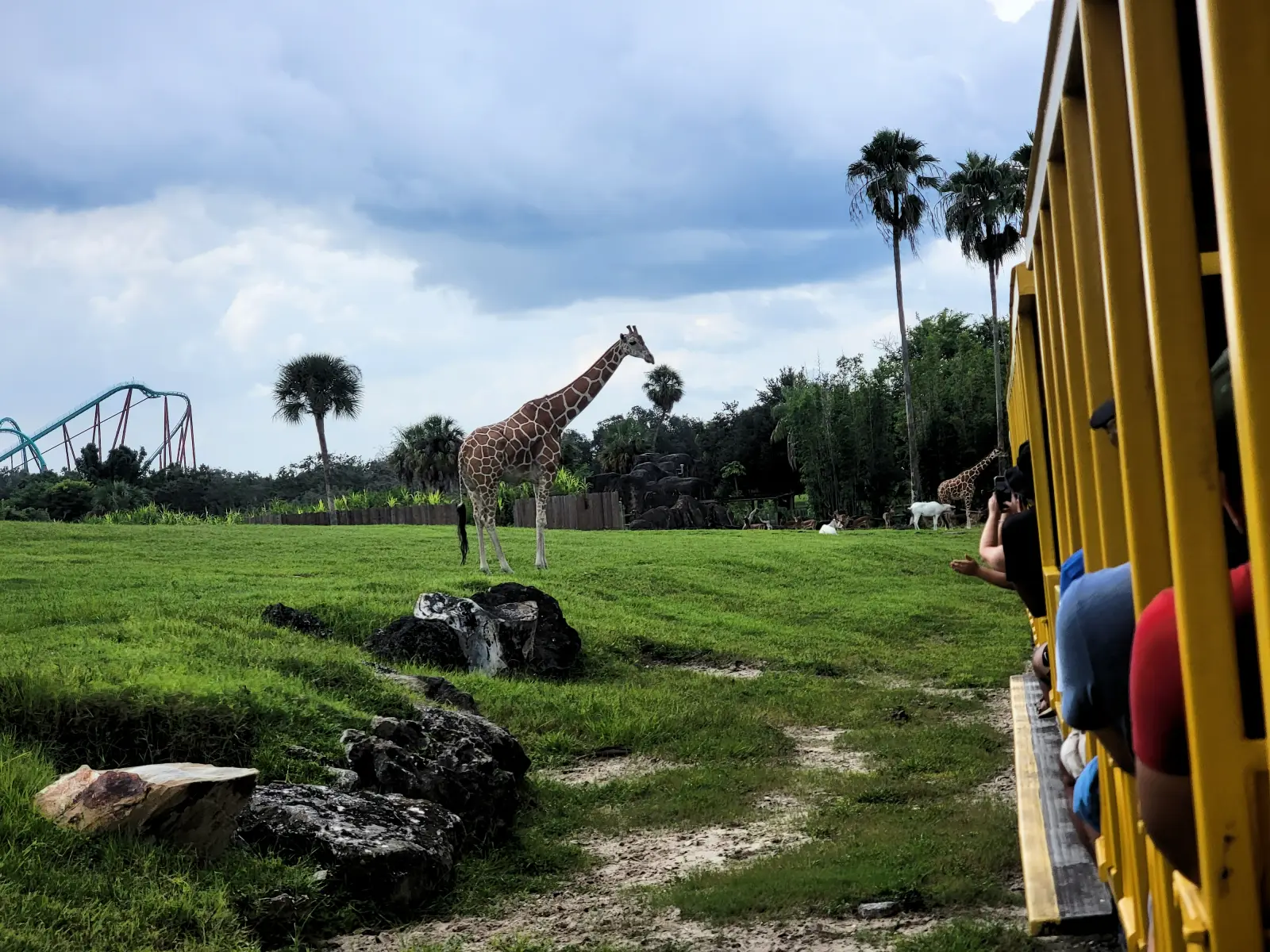Busch Gardens, Florida - Things to see and do
