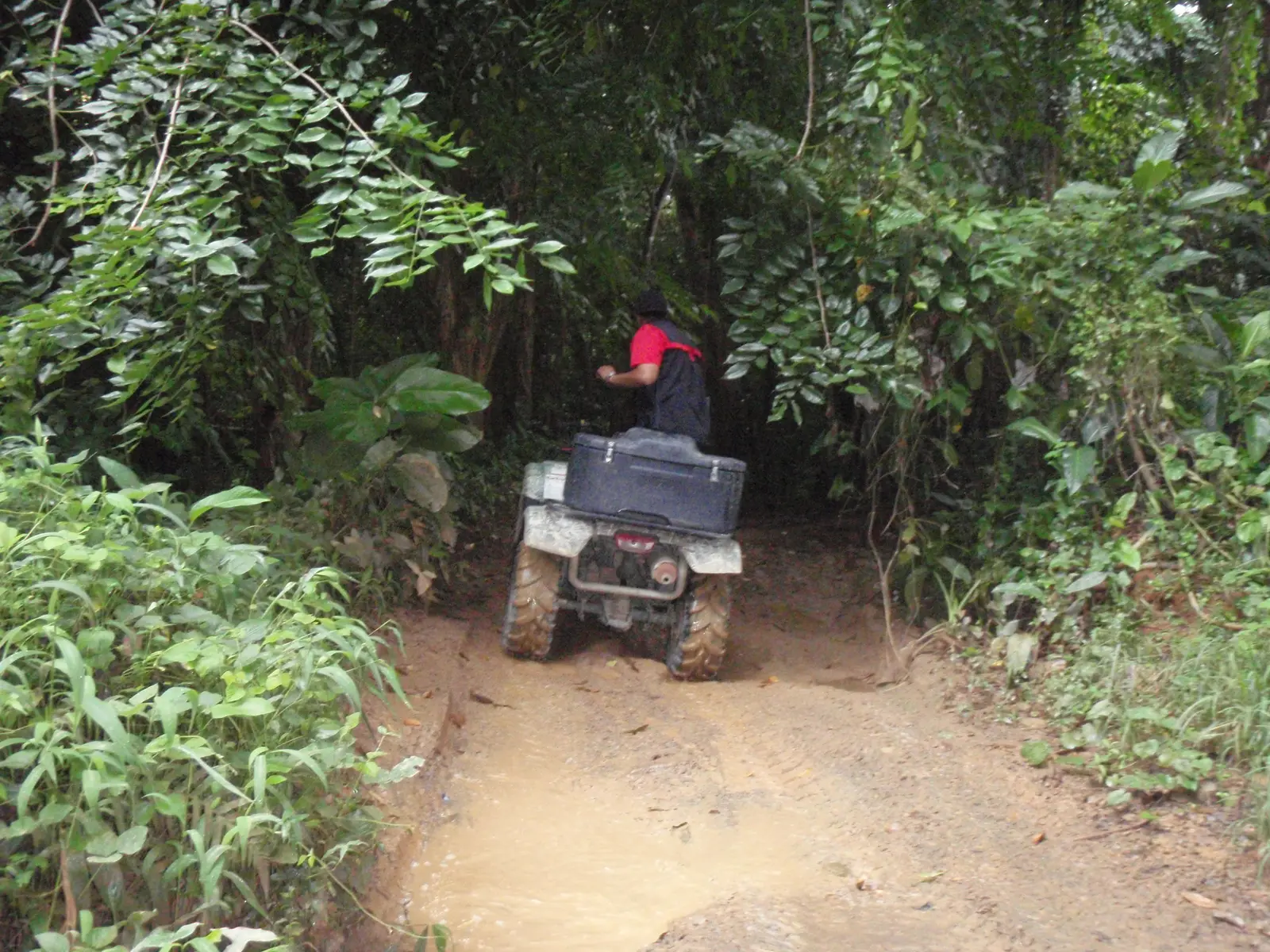 Carabali Rainforest Park, Palmer, Puerto Rico - Things to See and Do