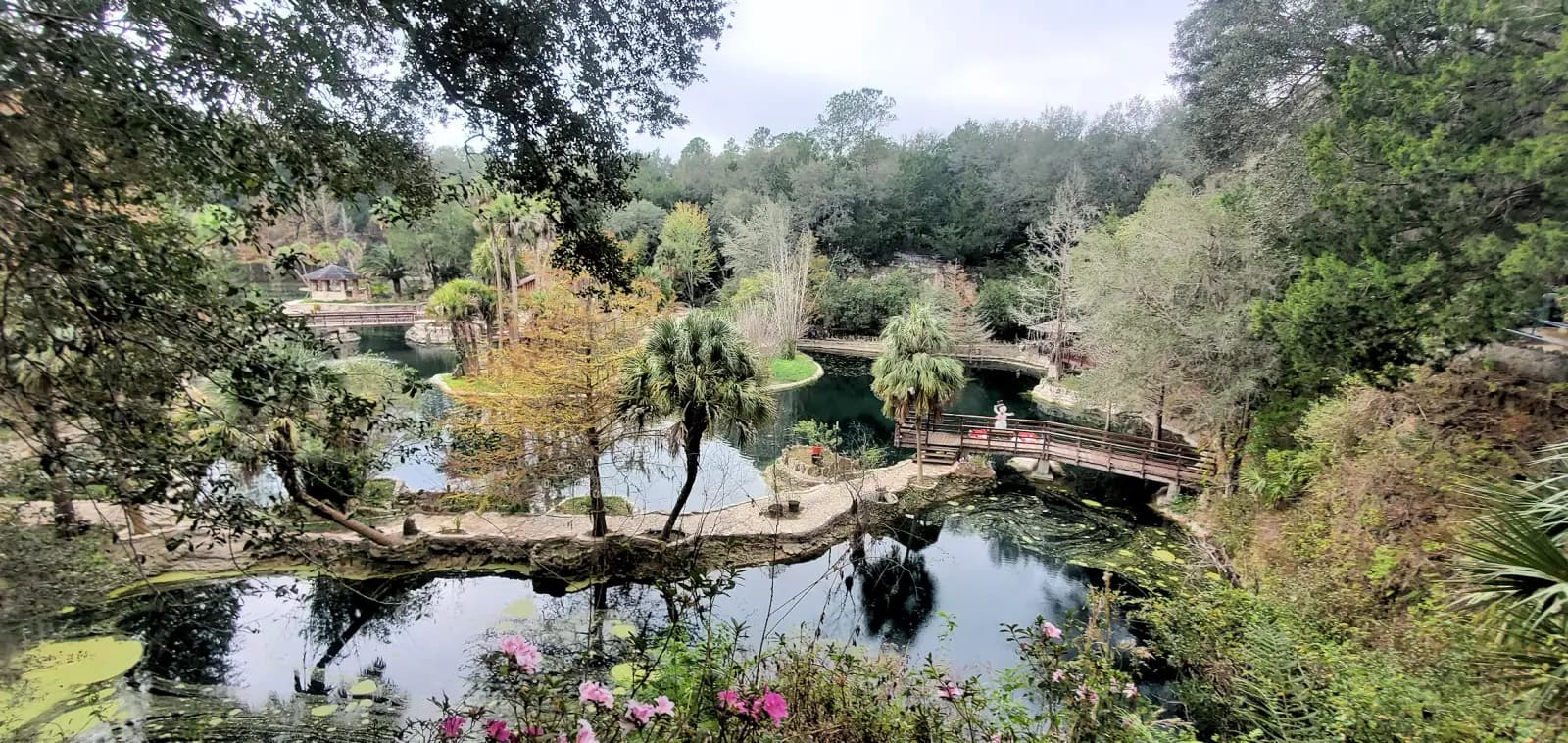 Cedar Lakes Woods and Gardens, Florida - Things to see and do