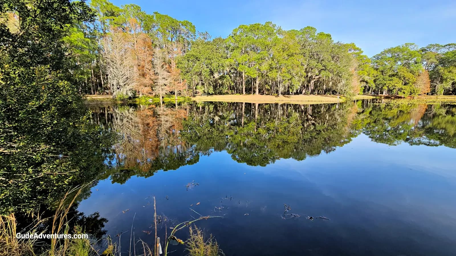 Chesnut Park, Florida - Things to see and do