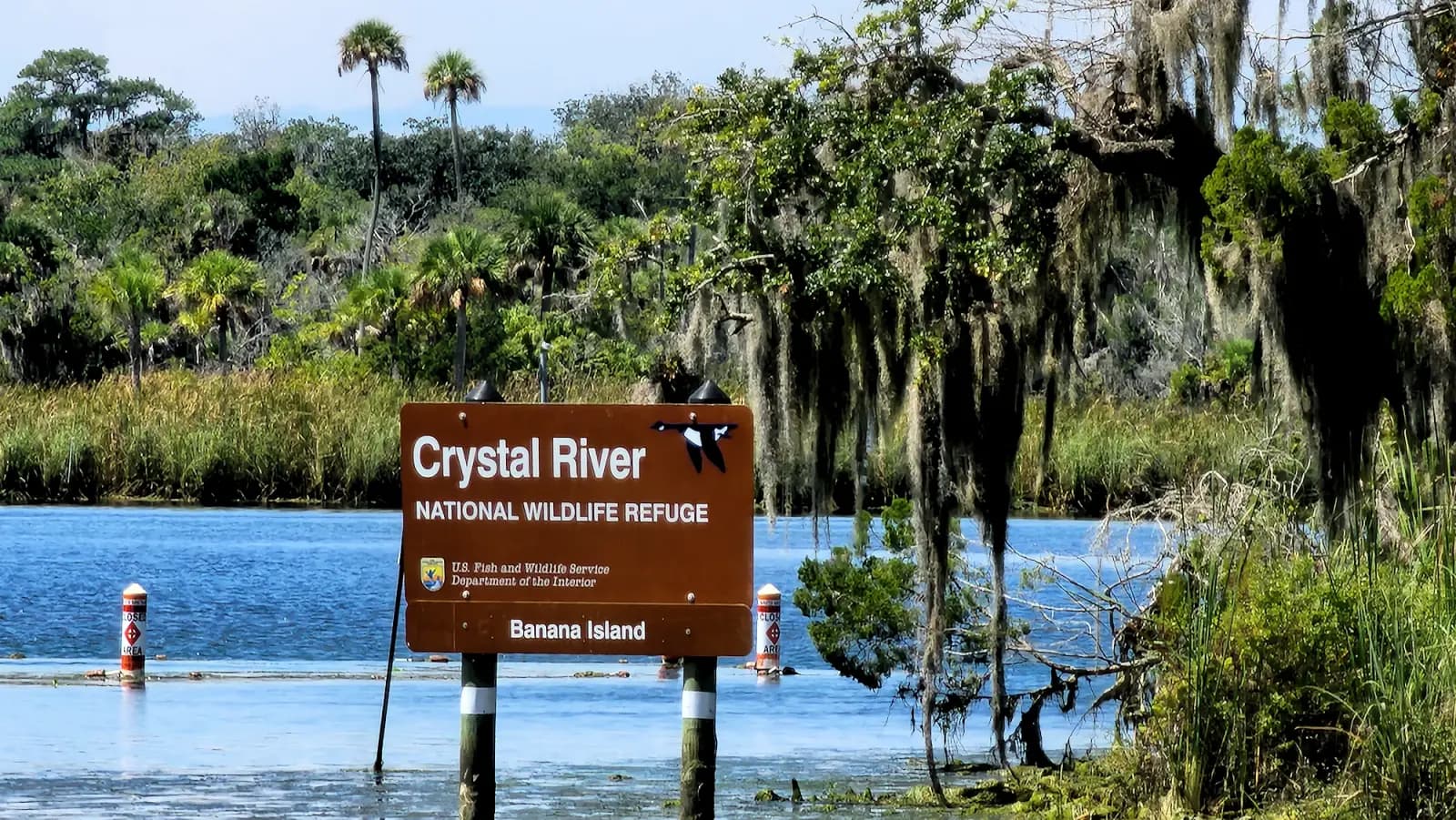 Kings Bay at Crystal River, Florida - things to see and do
