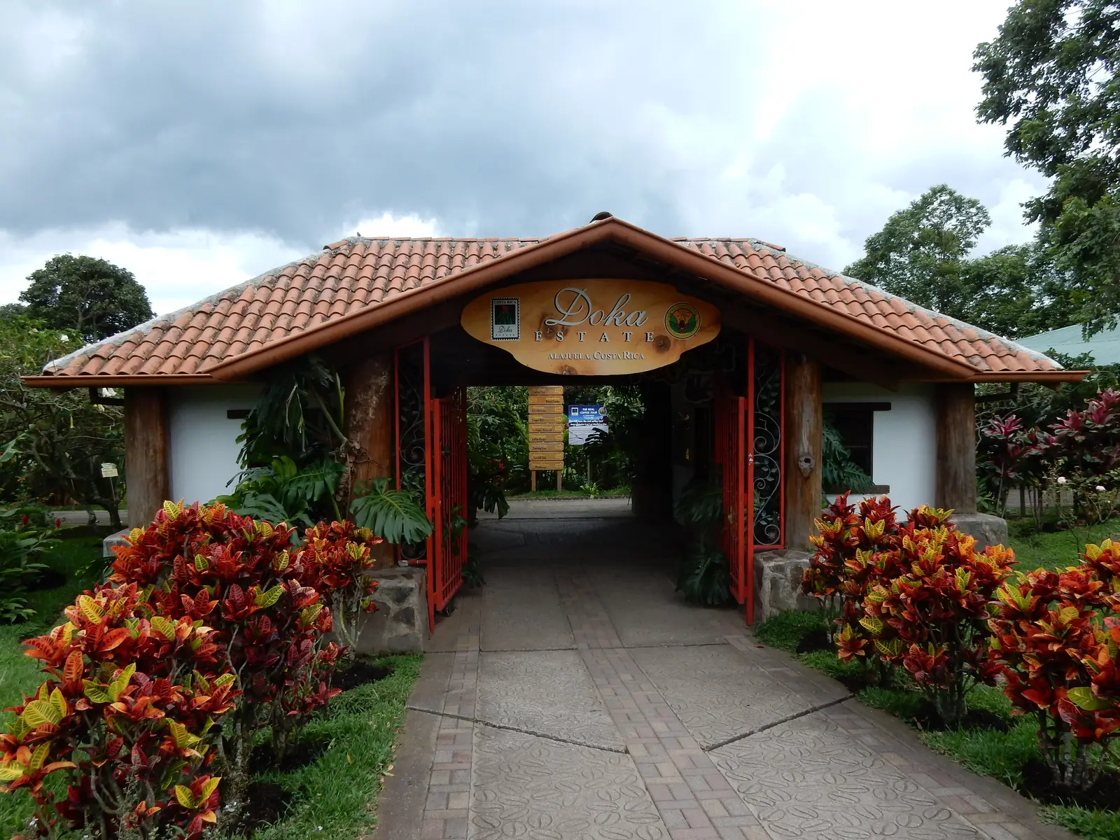 Doca Coffee Plantation, Costa Rica - Things to See and Do