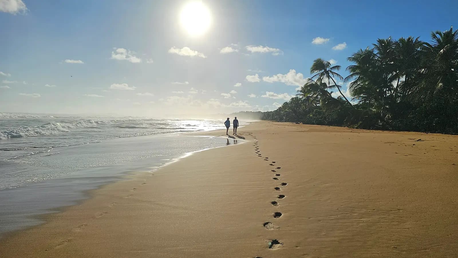 Eastern Ecological Corridor, Puerto Rico - Things to See and Do