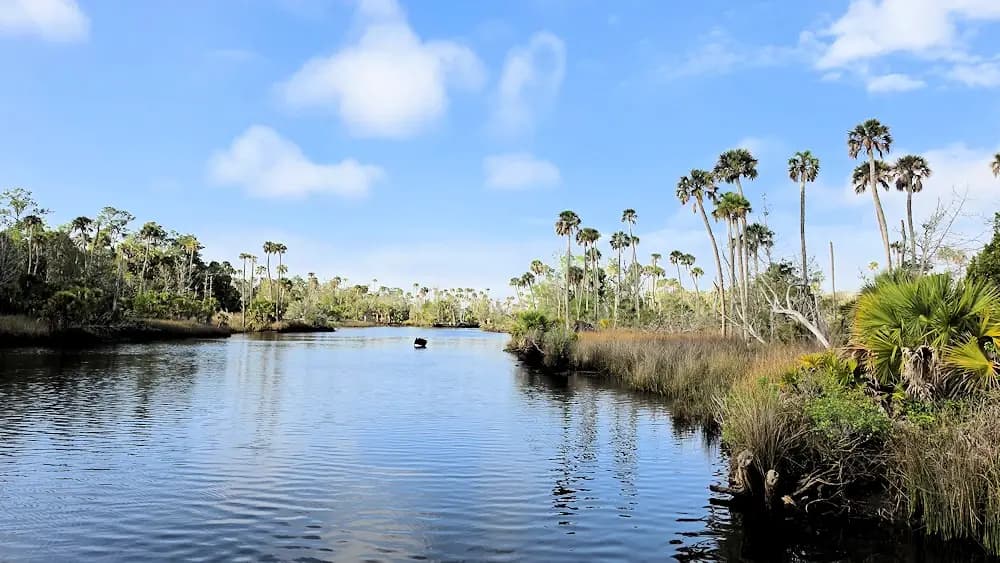Econfina River, Florida - Things to See and Do
