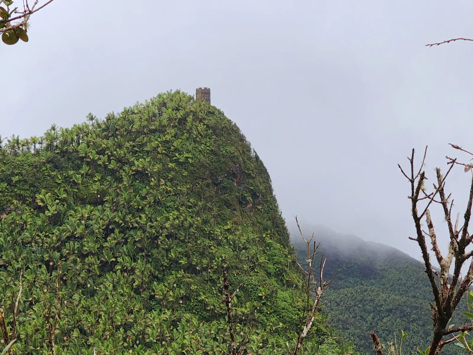 El Yunque, Puerto Rico - Things to See and Do