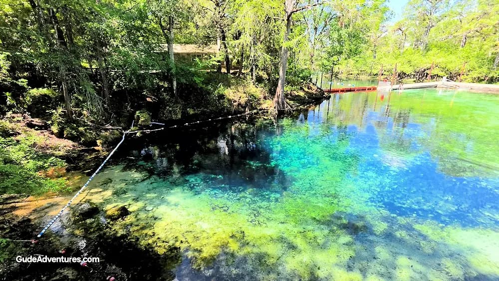 Fanning Springs, Florida - Things to See and Do