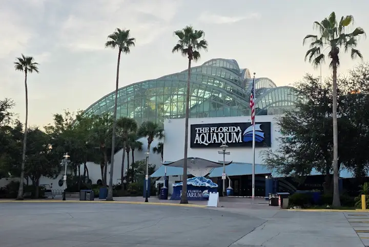 Florida Aquarium - Things to see and do