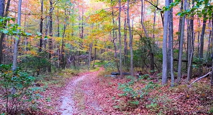 Frederick Municipal Forest, Maryland - Things to See and Do