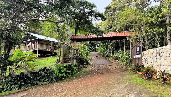 Hacienda Chocolat, Puerto Rico - Things to See and Do