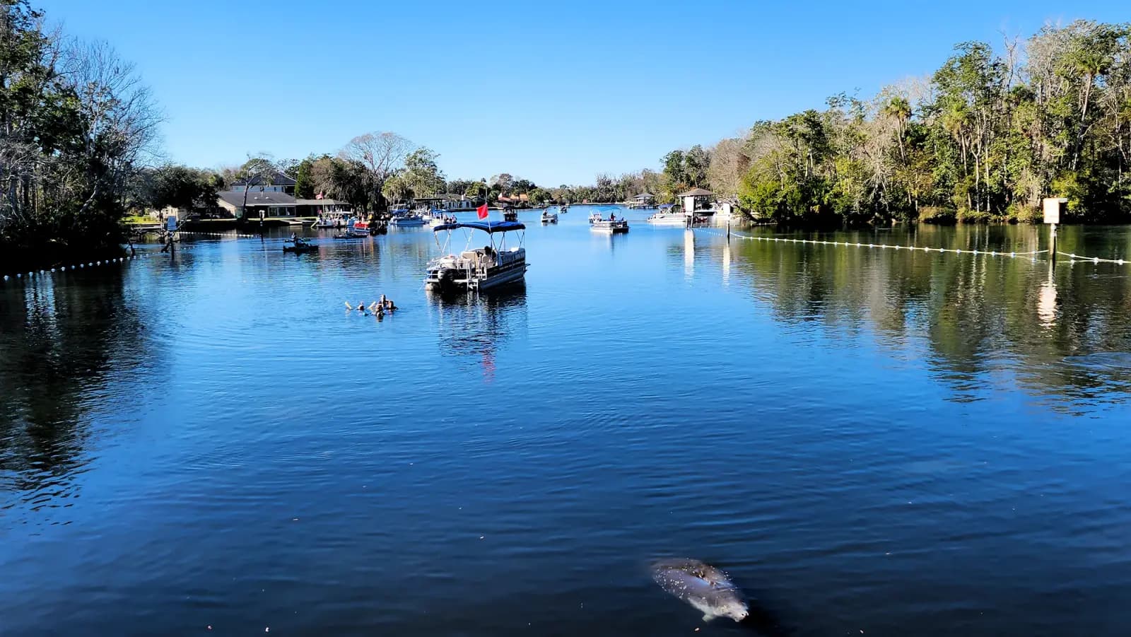 Homosassa Springs, Florida - Things to see and do