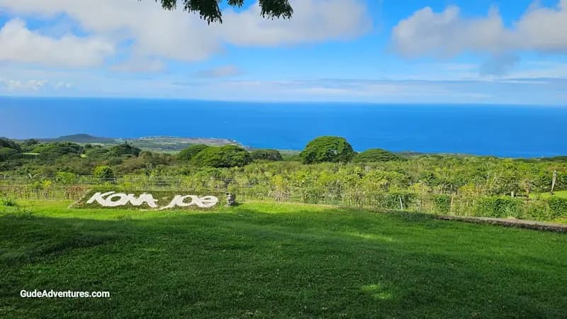 Kona Coffee, Kona, Big Island, Hawaii - Things to See and Do