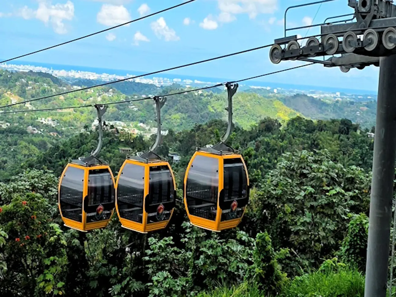 La Marquesa Forest Park - Things to See and Do