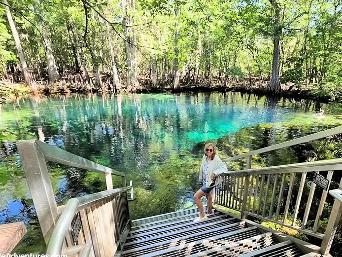 Manatee Springs, Florida - Things to See and Do