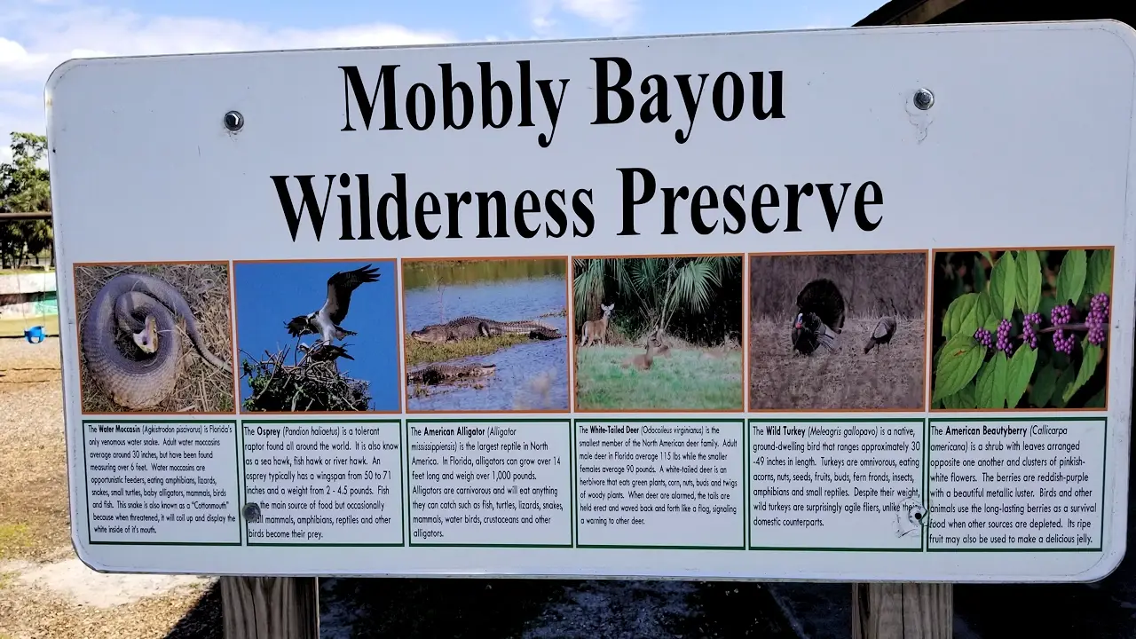 Mobbly Bayou, Florida - Things to see and do