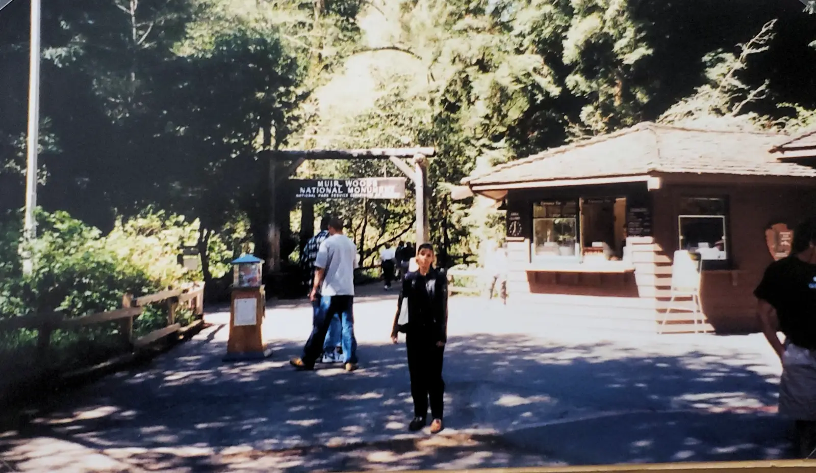 Muir Woods, California - Things to See and Do