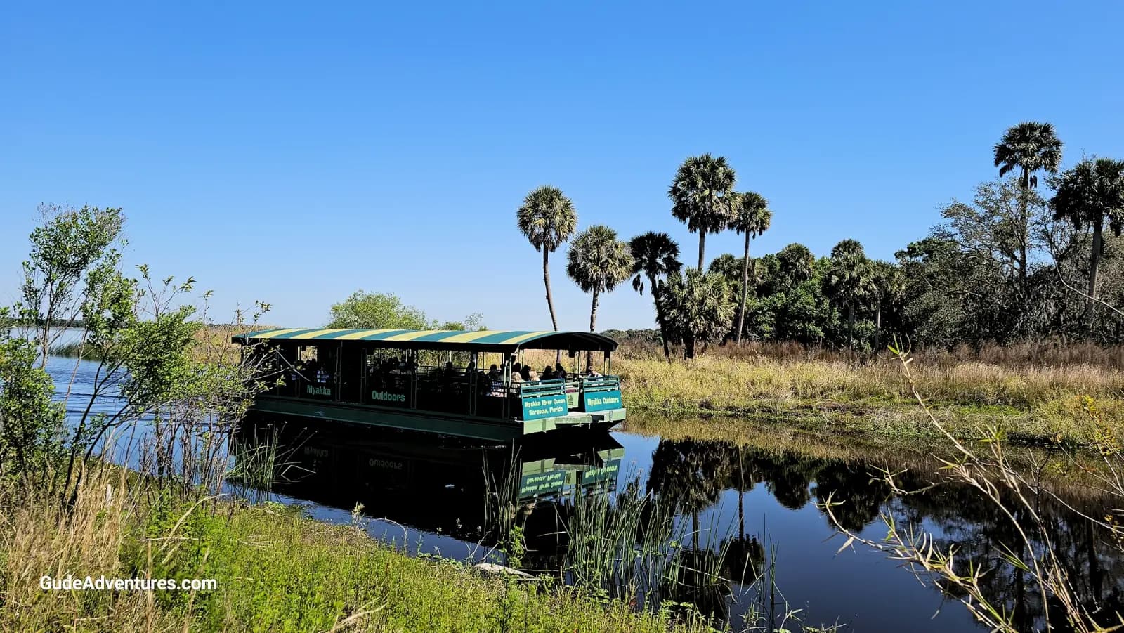 Myakka River, Florida - Things to see and do