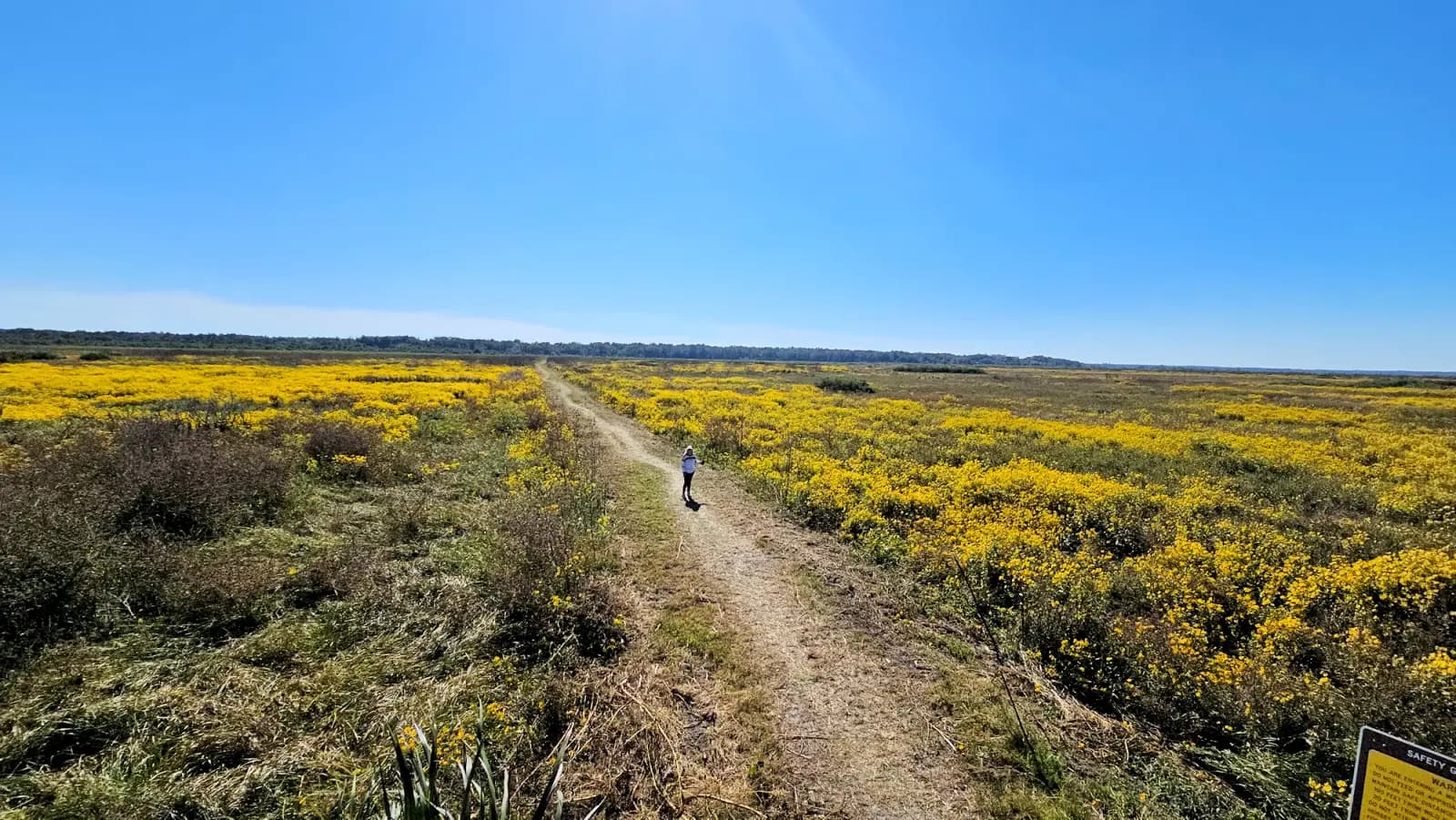 Paynes Prairie, Florida - Things to see and do