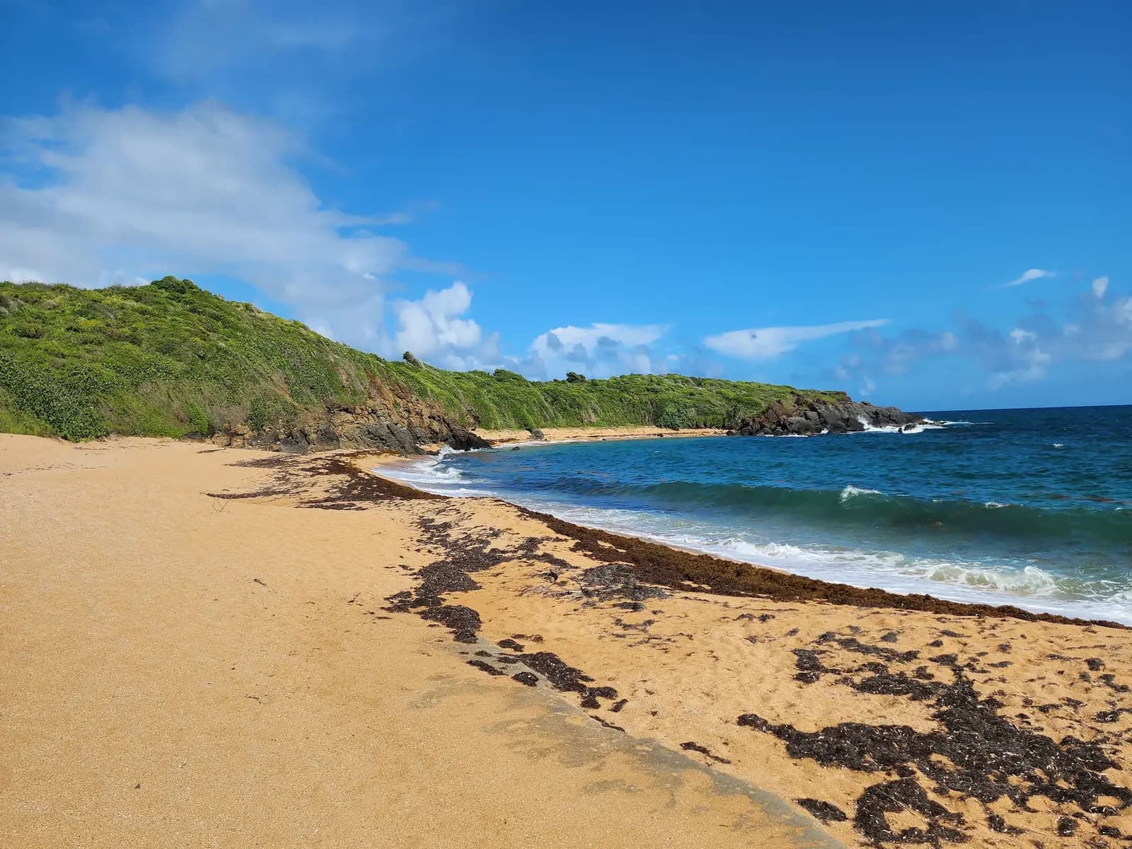 Playa Colora, Puerto Rico - Things to See and Do