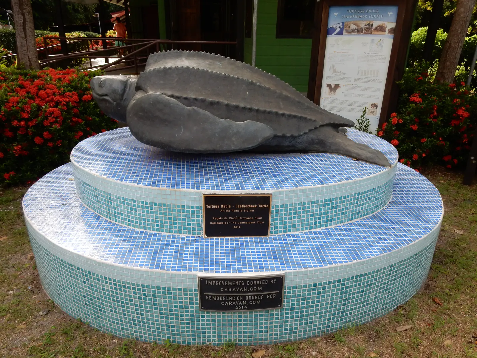 Playa Grande, Costa Rica - Things to See and Do
