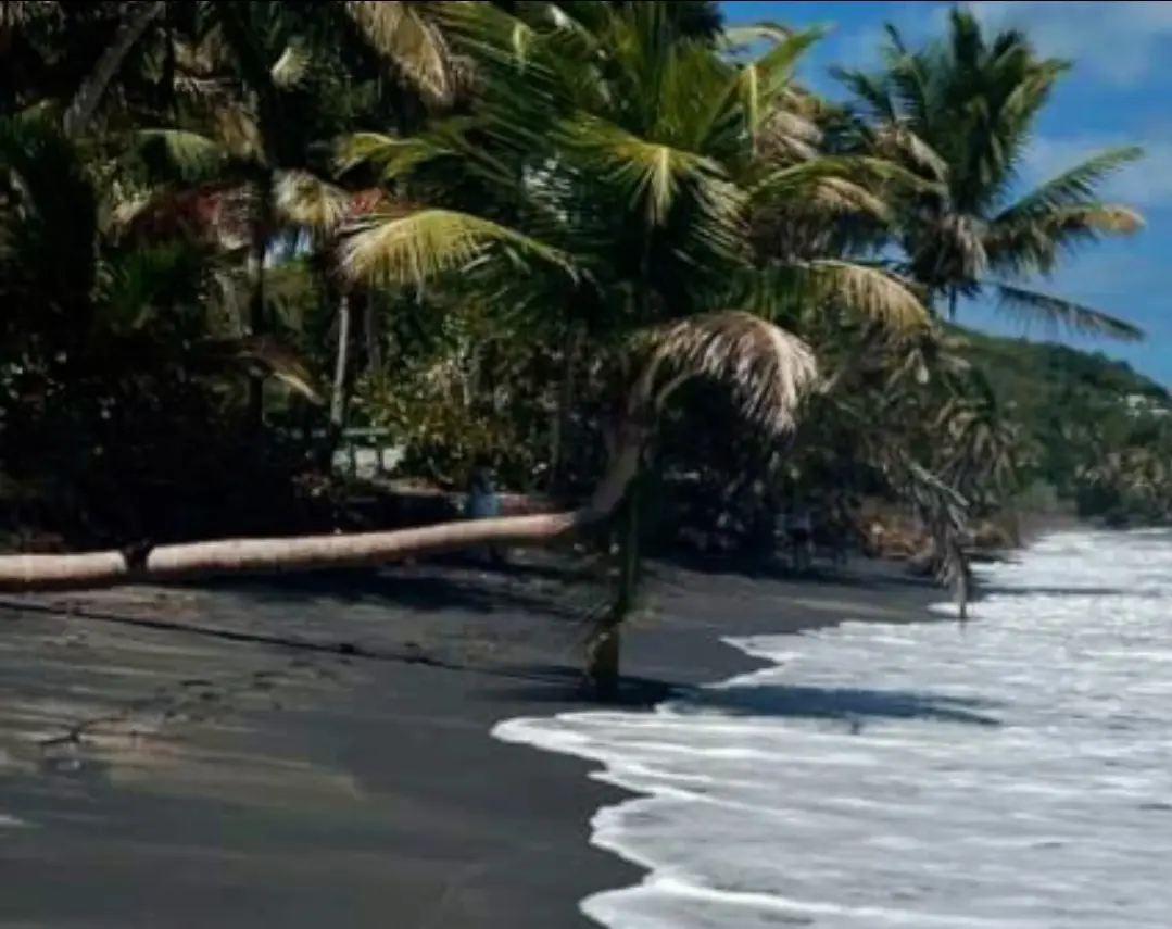 Playa Los Bohios, Puerto Rico - Things to See and Do