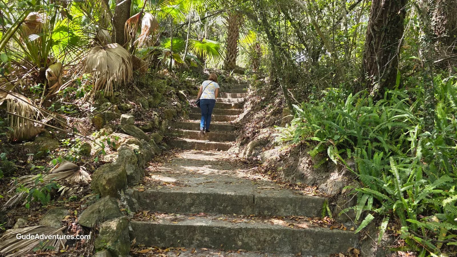 Ravine Gardens, Florida - Things to see and do