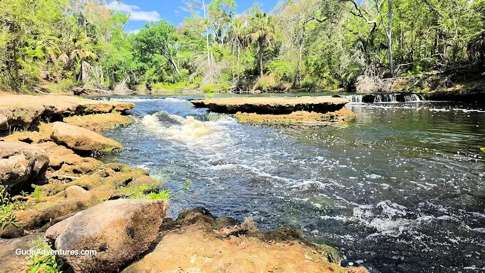 Steinhatchee Falls, Florida - Things to See and Do