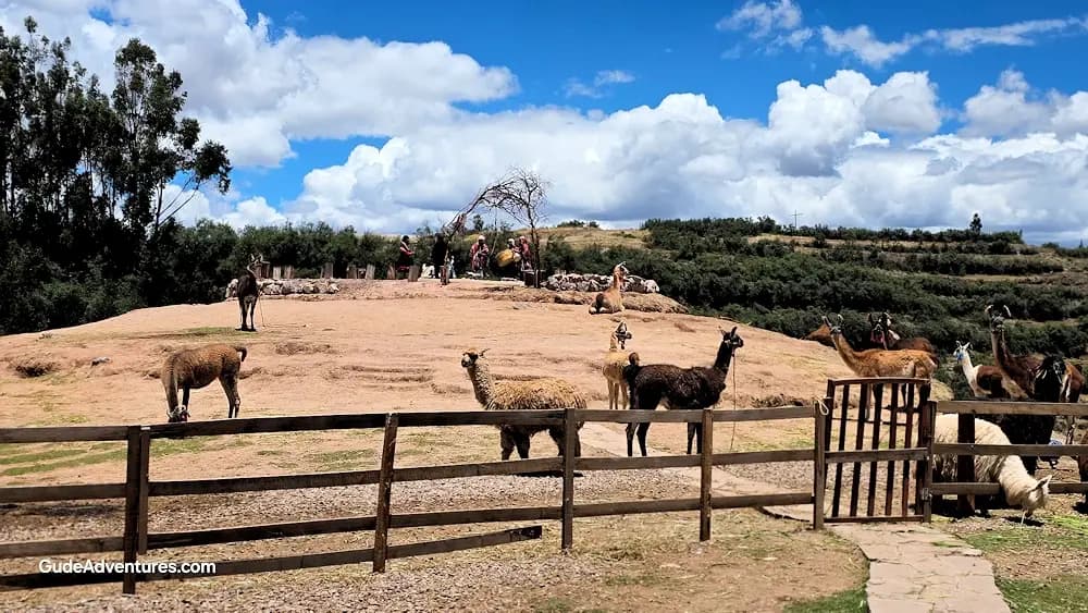 Sulca Textile Center in Peru - Things to See and Do