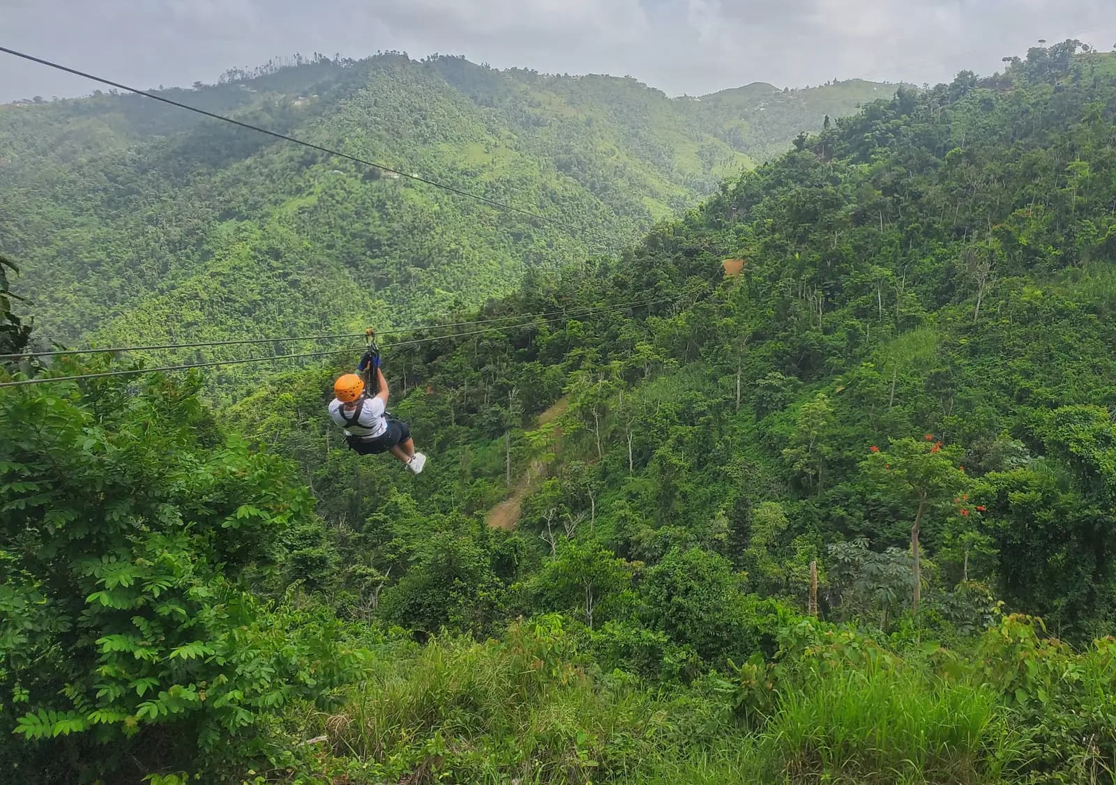 Toro Verde, Orocovis, Puerto Rico - Things to See and Do