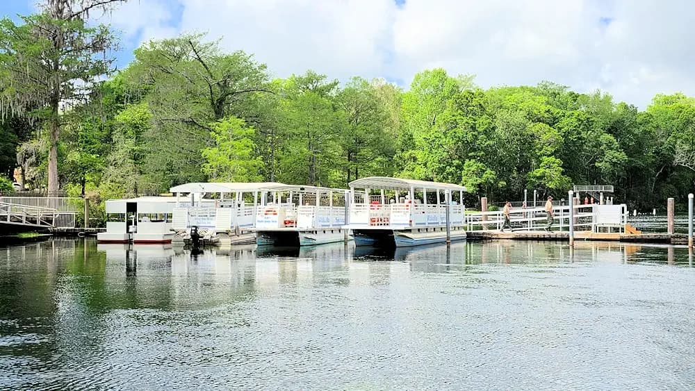 Wakulla Springs, Florida - Things to See and Do