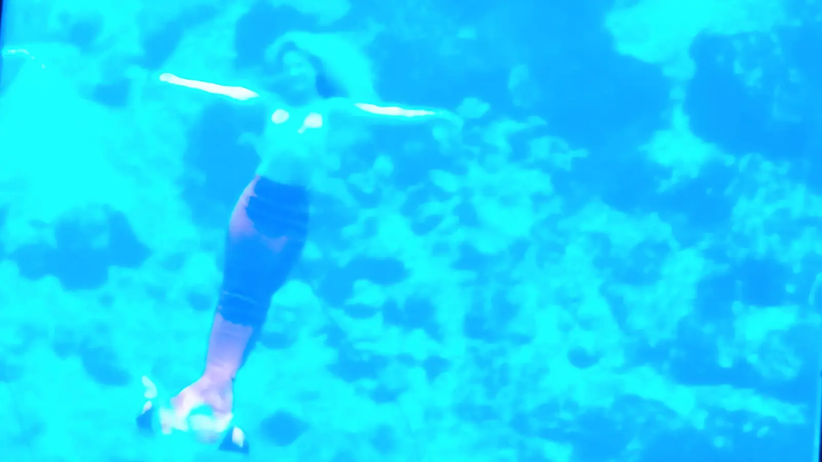 Weeki Wachee, Florida - Things to see and do