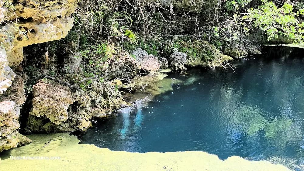 Peacock Springs, Florida - Things to See and Do